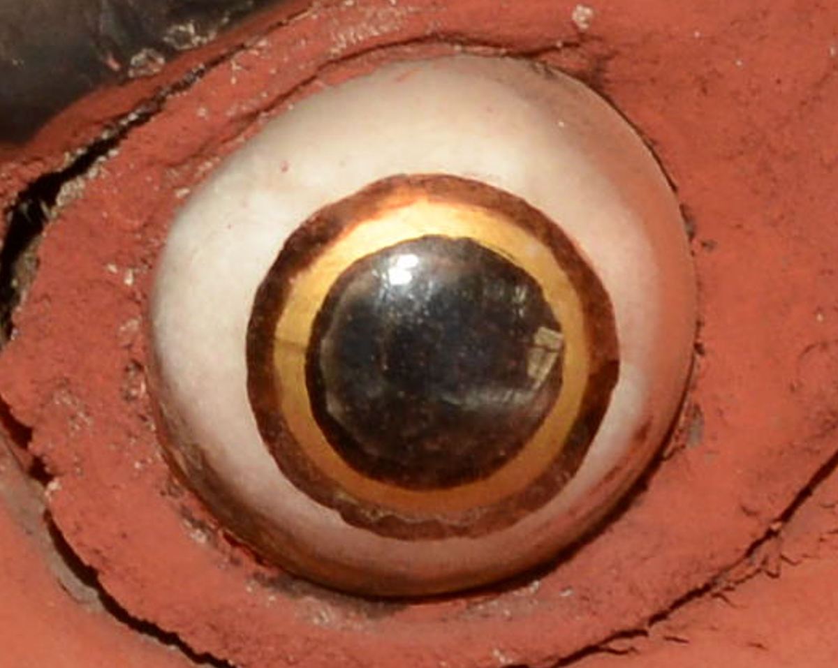 2018年の阿形仁王像 右眼球の弛み