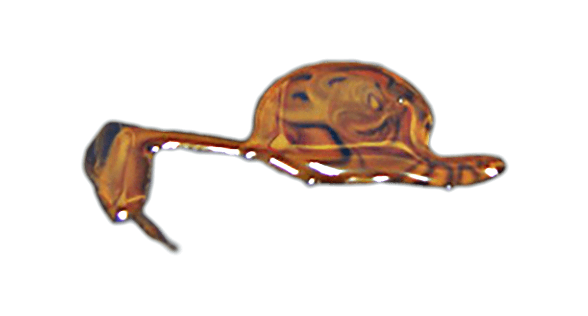 鍛造釘（生漆）