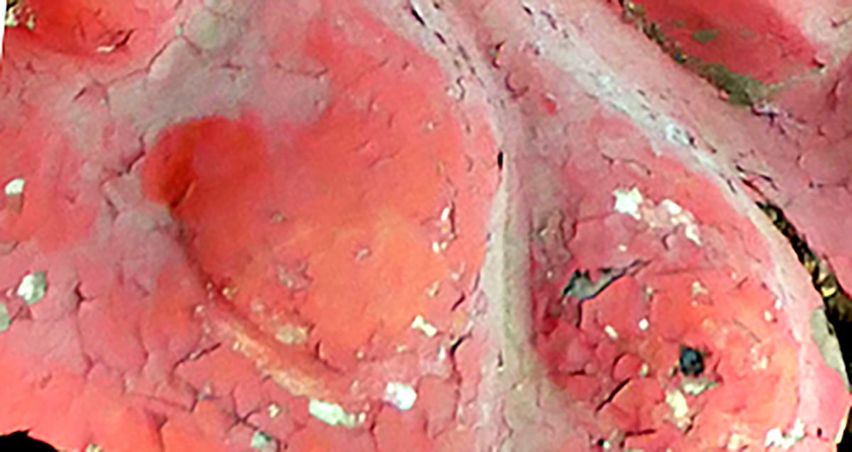 補彩による剥落箇所