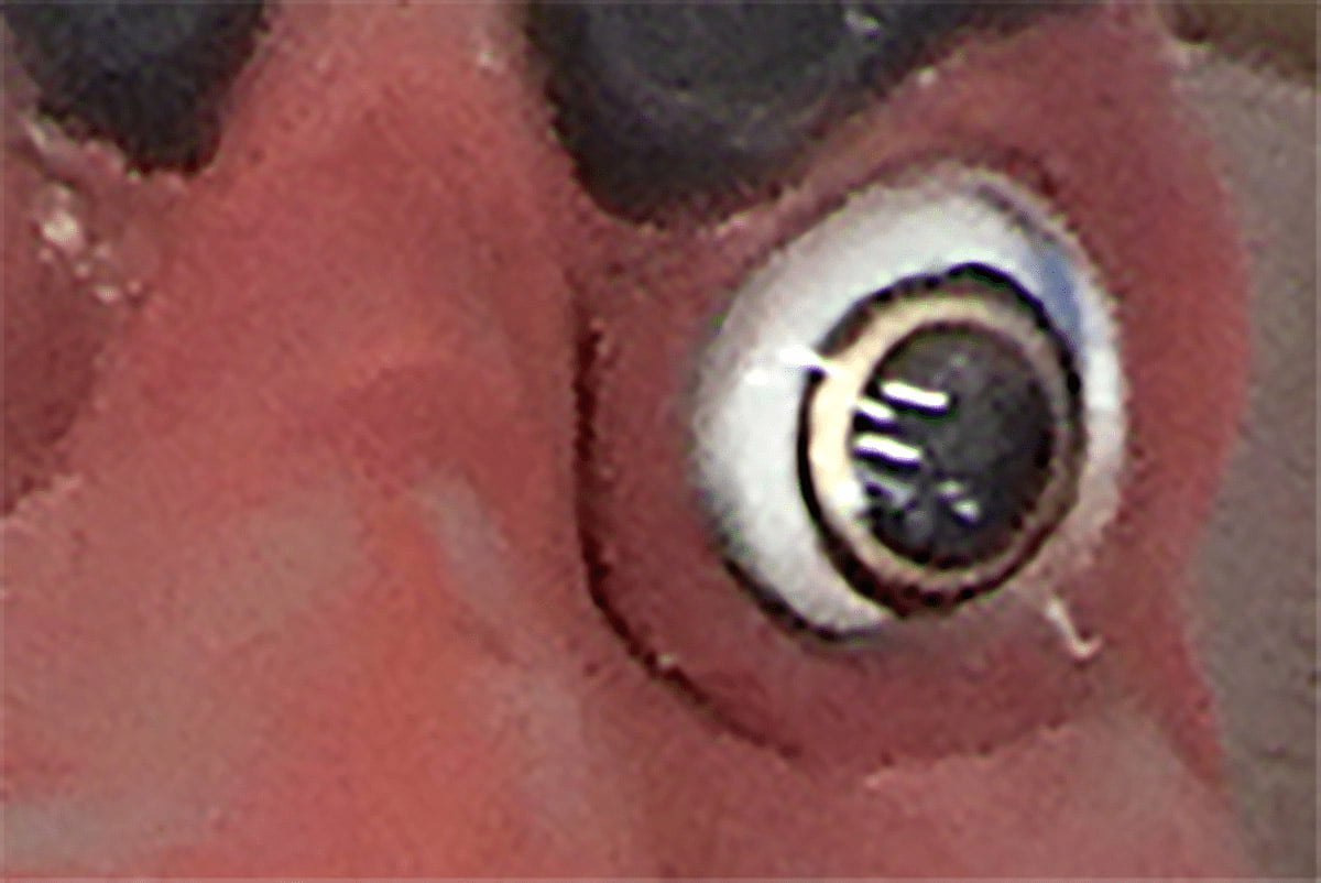 吽形仁王像 復元前の左目